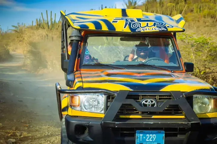 Private & Personal Safari Jeep Tours