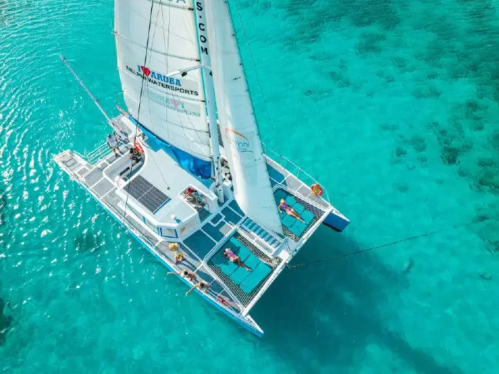 Catamaran Dolphin Snorkeling Adventure Cruise incl. open bar