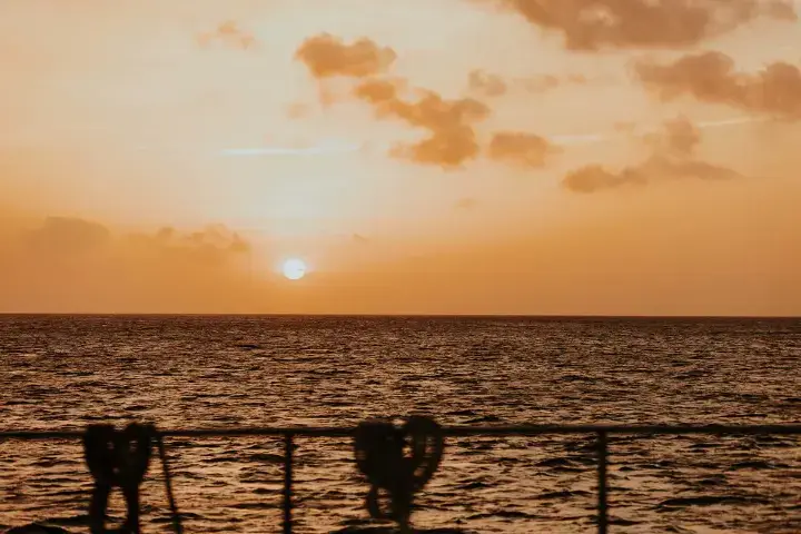 Sailing & Snorkeling Cruise incl. open bar