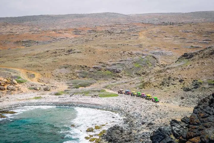 Island Ultimate Safari