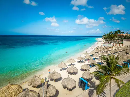 Druif Beach (Divi Beach)