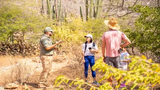 Aruba's Wild Side: Nature, Animal & Eco-Friendly Experiences Beyond the Beach