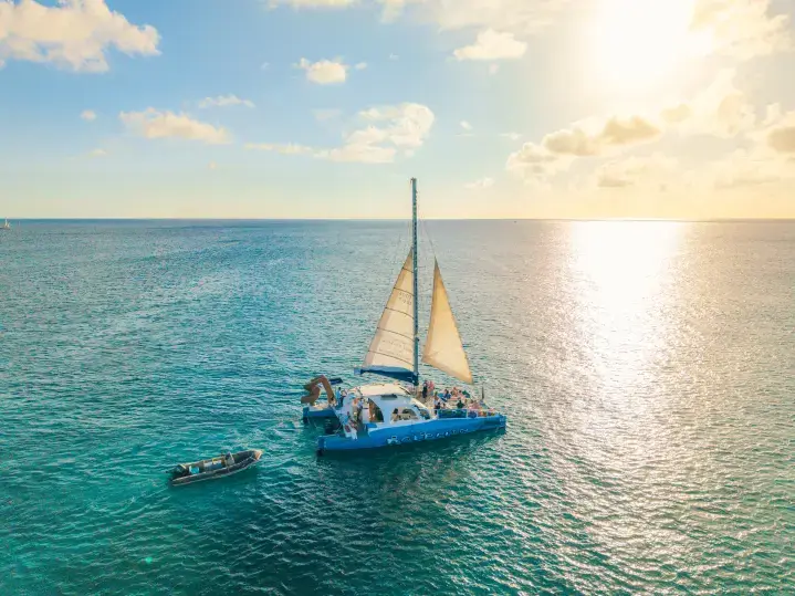 Catamaran Dolphin Sunset Adventure Cruise incl. open bar
